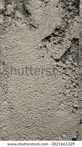 Fresh mortar spread into a rough leveled layer, suitable for wall coating, plaster application, masonry finishing, renovation, cement texture, and workmanship concepts.