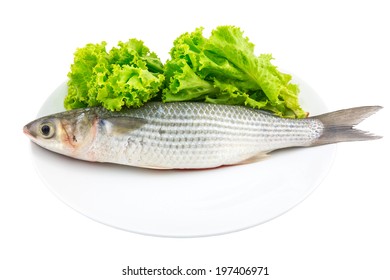 Fresh Mullet Fish With Lettuce On The White Plate With White Background