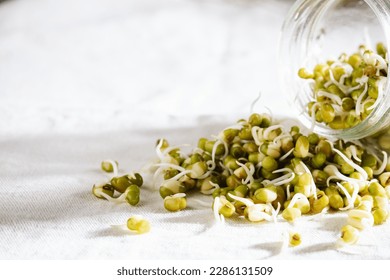 Fresh mung bean sprouts in a jar close up.