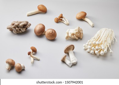 9,220 Mushroom types Images, Stock Photos & Vectors | Shutterstock