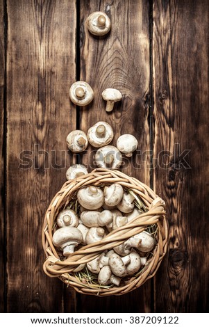 Similar – Image, Stock Photo Mushrooms in basket Food