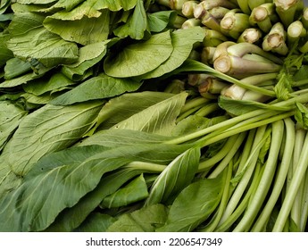 Fresh Mustard Greens From The Garden