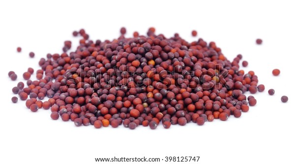 Fresh Mustard Seeds Over White Background Stock Photo (edit Now) 398125747