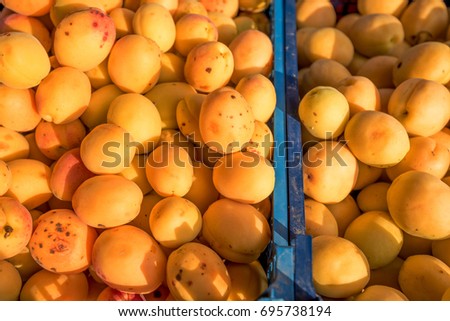 Fresh natural apricots on the street market