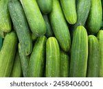 Fresh natural green cucumbers full frame