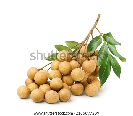 Fresh natural Longan fruits isolated on white background. Clipping path.
