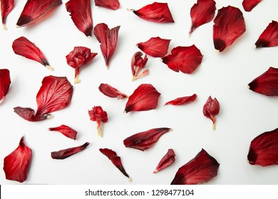 Fresh Natural Red Hibiscus Petals On A Clean Background