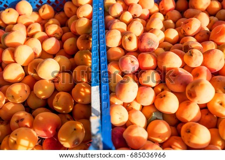 Fresh natural wild apricots on the street market