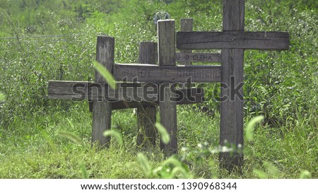 Fresh new grass and old wooden crosses in spring cementery