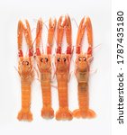 Fresh Norway lobsters isolated from white background