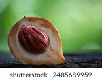 Fresh nutmeg fruit and red mace on natural background.