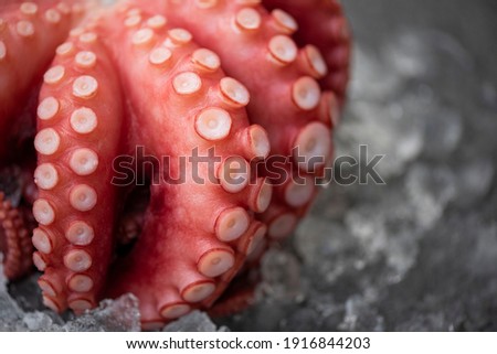 Fresh octopus on ice and dark background, Boiled whole octopus tentacles seafood squid cuttlefish