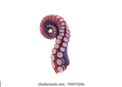 fresh octopus tentacles isolated on white background