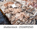 Fresh octopuses at the market in Catania