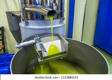 fresh oil flowing in the bin after processing at the mill - Powered by Shutterstock