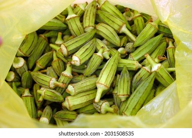 Fresh Okra For Cooking, Okra Plant In A Bag, Okra Grains,