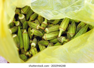 Fresh Okra For Cooking, Okra Plant In A Bag, Okra Grains,