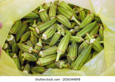 Fresh Okra For Cooking, Okra Plant In A Bag, Okra Grains,