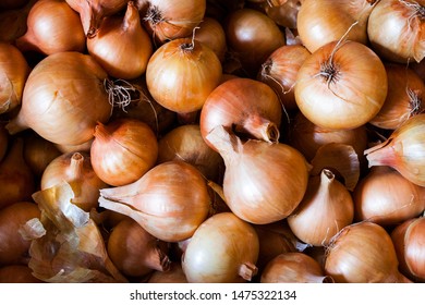 Fresh onions. Onions background. Ripe onions. Onions on the market
