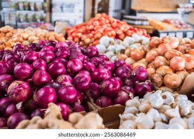 Fresh onions in a supermarket. A display of onions in a grocery store. verities of cooking onions. Red and Yellow onions. Canada British Columbia - Powered by Shutterstock