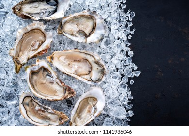 Fresh opened oyster offered as top view on crushed ice with copy space right 