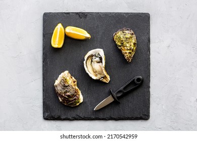 Fresh opened Oysters close-up on gray concrete background with sliced lemon. Healthy sea food. Gourmet food. Flat lay, top view, mockup, overhead, template with copy space. Online order and food