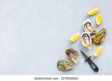 Fresh opened Oysters close-up on gray background with sliced lemon. Healthy sea food. Gourmet food. Flat lay, top view, mockup, overhead, template with copy space. Online order and food delivery