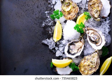 Fresh opened oysters, lemon, herbs, ice on dark metal background. Top view, copy space