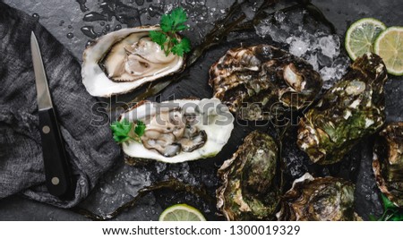 Fresh opened oysters with lemon, spices, salt, a knife and seaweed on slate stone background. Seafood, Shellfish, top view, flat lay, copy space