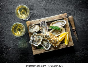 Fresh opened oysters on tray with white wine. On black rustic background
