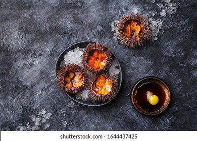 Fresh Opened Sea Urchins On Ice Over Dark Concrete Background With Dressing Made Of Soy Sauce And Raw Egg. Overhead View, Copy Space