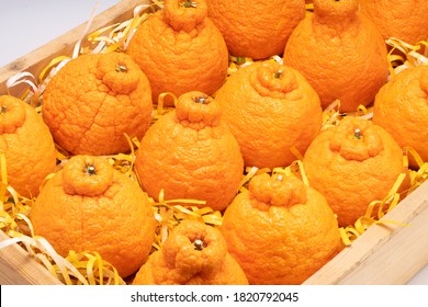 Fresh Orange Fruit In Wooden Box, Dekopon Orange Or Sumo Mandarin Tangerine Isolated On White Background