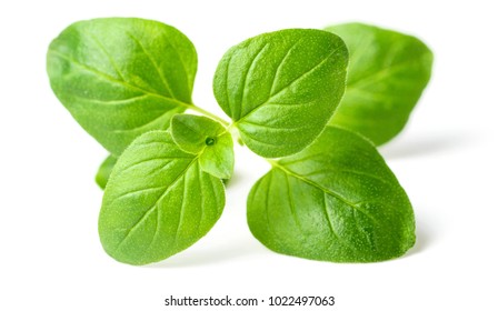 Fresh Oregano Leaves Isolated On White