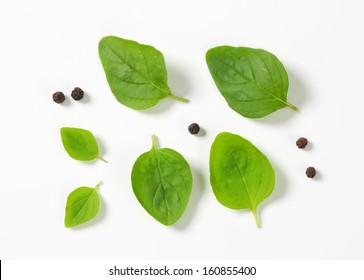 Fresh Oregano Leaves With Pepper