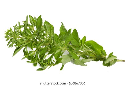 3,045 Oregano sprigs Images, Stock Photos & Vectors | Shutterstock