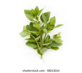 Oregano Sprigs Images Stock Photos Vectors Shutterstock