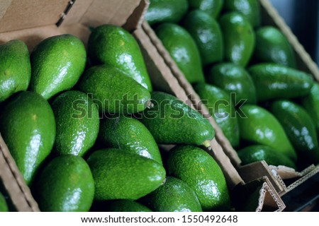 Fresh organic avocado in box at farmer's market.