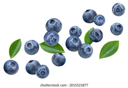 Fresh organic bluberry. Bluberry isolated on white background. Bluberry Clipping path.