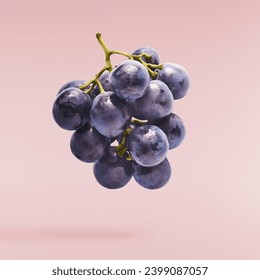 Fresh organic Blue Grape falling in the air isolated on pink background. food levitation or zero gravity conception. - Powered by Shutterstock