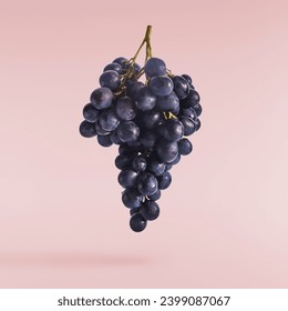 Fresh organic Blue Grape falling in the air isolated on pink background. food levitation or zero gravity conception. - Powered by Shutterstock