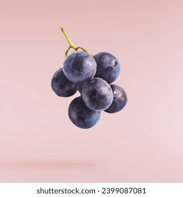 Fresh organic Blue Grape falling in the air isolated on pink background. food levitation or zero gravity conception. - Powered by Shutterstock