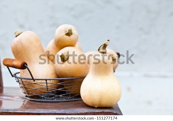 basket squash