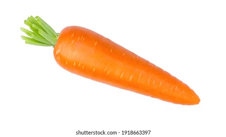 Fresh organic carrot isolated on white background. 