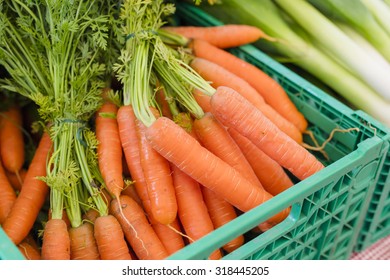 Fresh organic carrots at farmers market