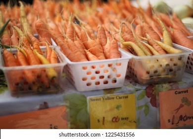 Fresh Organic Carrots With Price Signs At Madison Wisconsin Farmers Market. 