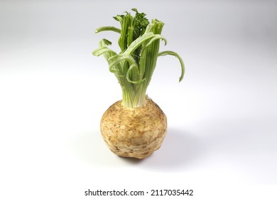 Fresh Organic Celeriac Celery Root Isolated On White Background