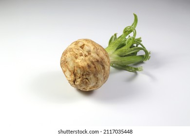 Fresh Organic Celeriac Celery Root Isolated On White Background