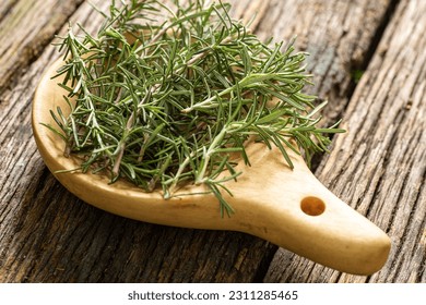 fresh organic freshly picked rosemary with dew or rain drops on top of rustic farmhouse wooden table, selective focus - Shutterstock ID 2311285465