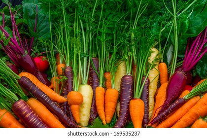 Fresh Organic Garden Vegetables