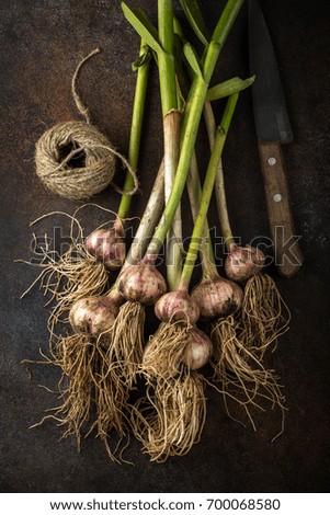 Similar – Foto Bild Natürliche Knoblauch auf Holzuntergrund